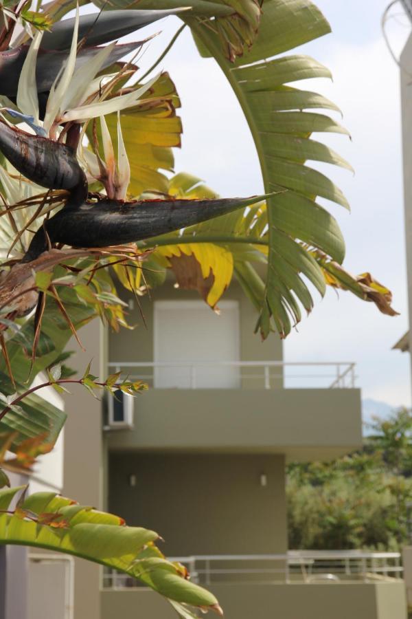 Kamares Apts - Antonis Cozy Maisonette Khania